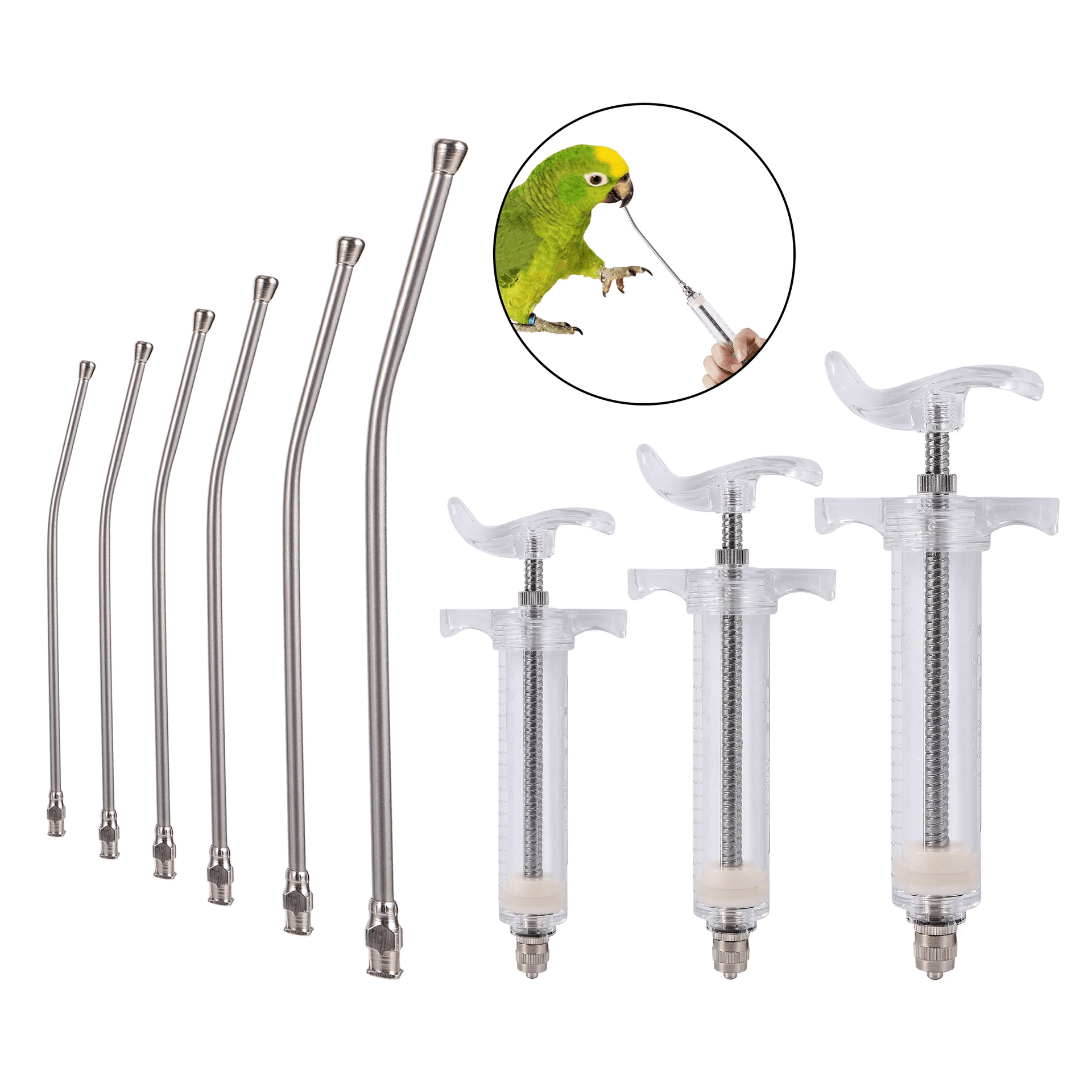 Reusable Stainless Steel Feeding Needles Pet Bird Needles - Image 5